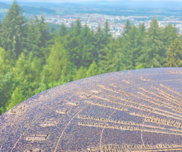 New-Work-uffm-Land_Studinger-Ilg_Schwarzwald_Neue-Arbeit-ländlicher-Raum_Werte-Vision-Ziele