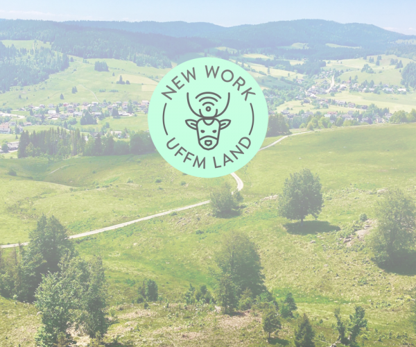New-Work-uffm-Land_Studinger-Ilg_Schwarzwald_Neue-Arbeit-ländlicher-Raum_v-logo2